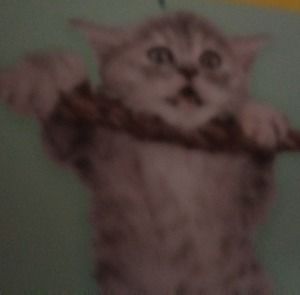 Meet your Posher, Wanda